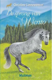 Omslag van De sprong van Wento