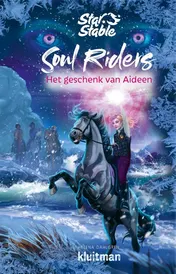 Omslag van Het geschenk van Aideen