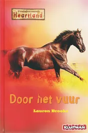 Omslag van Door het vuur