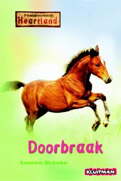 Omslag van Doorbraak