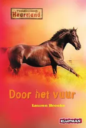 Omslag van Door het vuur