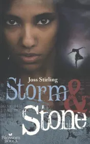 Omslag van Storm & stone