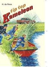 Omslag van Tip, top, Kameleon!