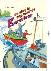 Omslag van De vlag in top voor de Kameleon