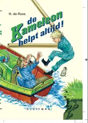 Omslag van De Kameleon helpt altijd