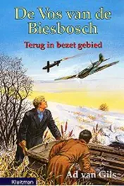 Omslag van Terug in bezet gebied