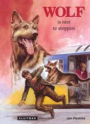 Omslag van Wolf is niet te stoppen