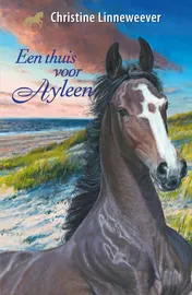 Omslag van Een thuis voor Ayleen