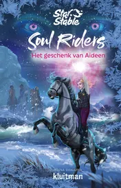 Omslag van Het geschenk van Aideen