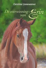 Omslag van De overwinning van Erin