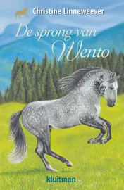 Omslag van De sprong van Wento