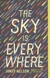 Omslag van The Sky is everywhere
