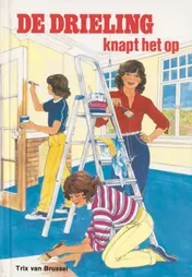 Omslag van De drieling knapt het op