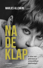 Omslag van Na de klap