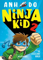 Omslag van De vliegende Ninja