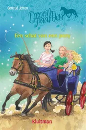 Omslag van Een schat van een pony