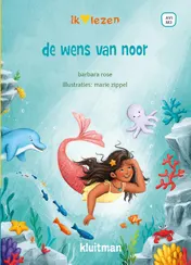 Omslag van de wens van noor