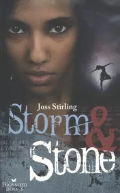 Omslag van Storm en Stone