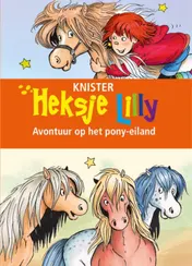 Omslag van Avontuur op het pony-eiland