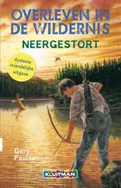 Omslag van Neergestort