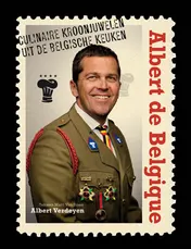 Omslag van Albert de Belgique