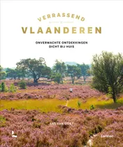 Omslag van Verrassend Vlaanderen