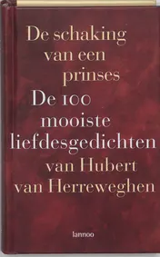 Omslag van De schaking van een prinses