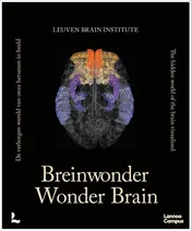 Omslag van Breinwonder / Wonder Brain