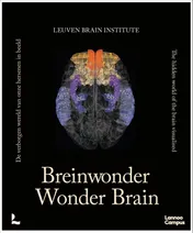 Omslag van Breinwonder / Wonder Brain