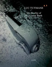 Omslag van LUC TUYMANS