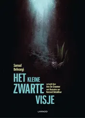 Omslag van Het kleine zwarte visje
