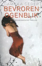 Omslag van Bevroren ogenblik