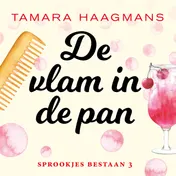 Omslag van De vlam in de pan