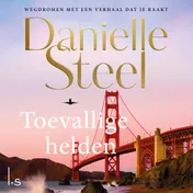 Omslag van Toevallige helden