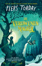 Omslag van De verdwenen magiër