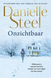 Omslag van Onzichtbaar