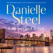 Omslag van Een perfect leven