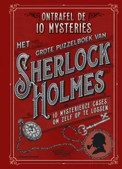 Omslag van Het grote puzzelboek van Sherlock Holmes
