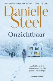 Omslag van Onzichtbaar