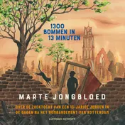 Omslag van 1300 bommen in 13 minuten
