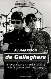 Omslag van De Gallaghers