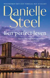 Omslag van Een perfect leven