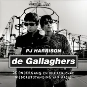 Omslag van De Gallaghers