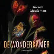 Omslag van De wonderkamer
