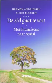 Omslag van De ziel gaat te voet