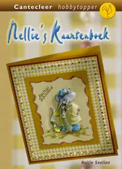 Omslag van Nellie's kaartenboek