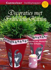 Omslag van Decoraties met Franciens katten