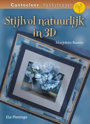 Omslag van Stijlvol natuurlijk in 3D
