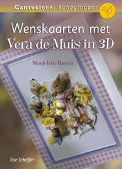 Omslag van Wenskaarten met Vera de Muis in 3D
