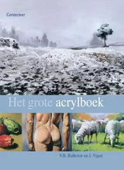 Omslag van Het grote acrylboek